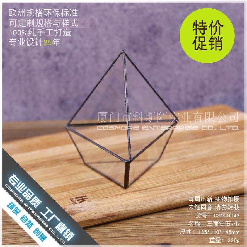 DG-243 Ba mặt đá kim cương - nhỏ Cây cảnh đa thực vật Tảo mầm cảnh quan nhỏ không đều lớn kính thời đời vỏ hoa nhỏ sỉ