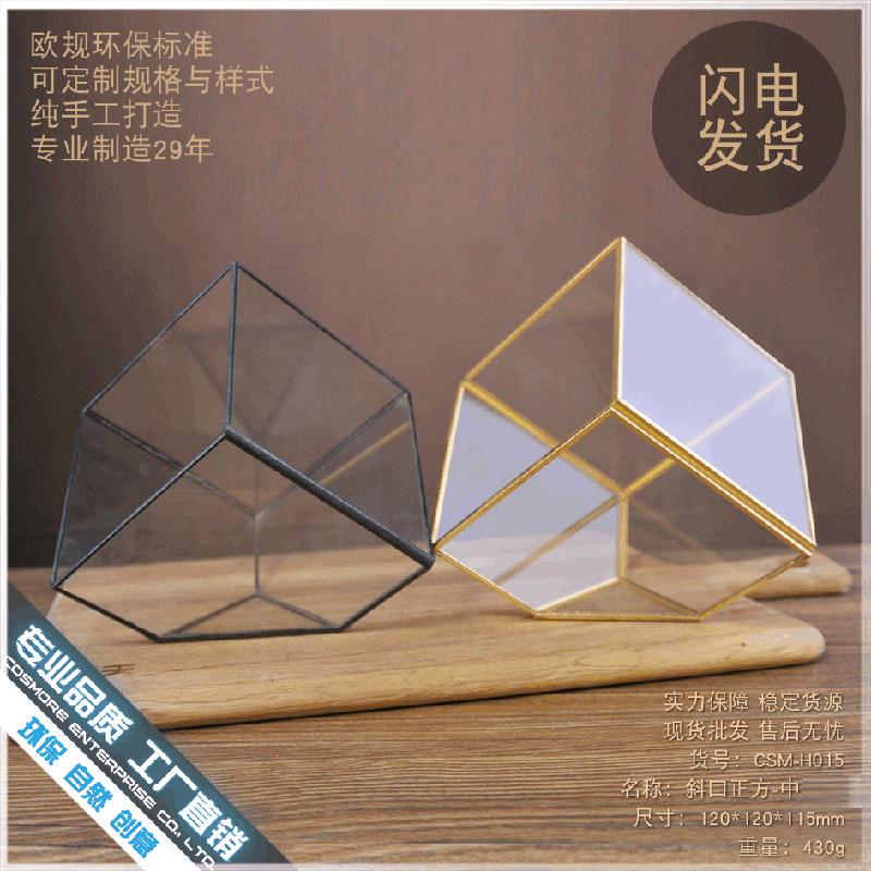 Chậu Đa Giác DG-92 Nhà hoa thủy tinh trong nhà máy, sáng tạo vĩnh cửu