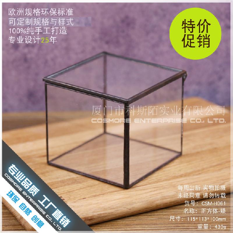 DG-21 Hộp nhỏ cảnh quan của thực vật mọc mịn