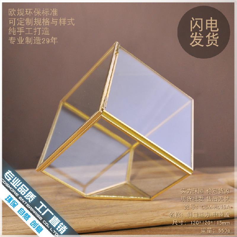 DG-53 Hộp kính thủy tinh có nắp với cây thực vật mọc mịn, thảo mộc vật phẩm nhỏ, hoa bền vững nhỏ