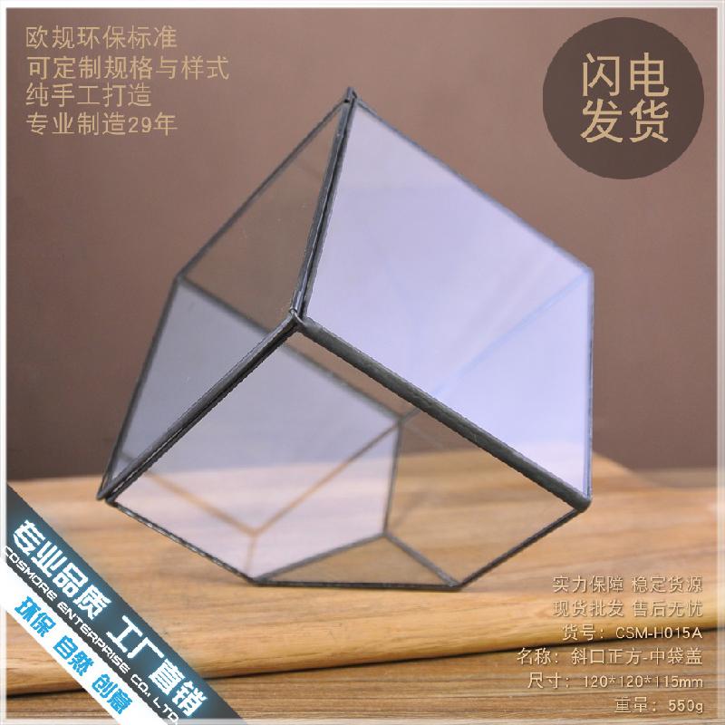 DG-53 Hộp kính thủy tinh có nắp với cây thực vật mọc mịn, thảo mộc vật phẩm nhỏ, hoa bền vững nhỏ