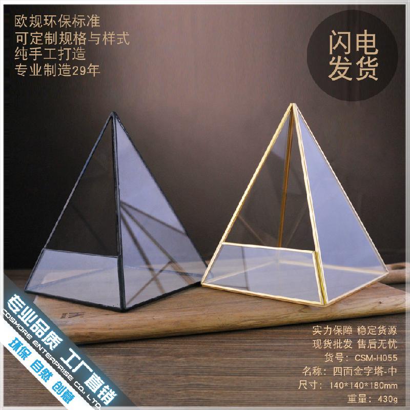 DG-63 Hoa vật cảnh nhỏ, cây cỏ đầy đủ, hộp kính với hình bốn mặt ngôi sao