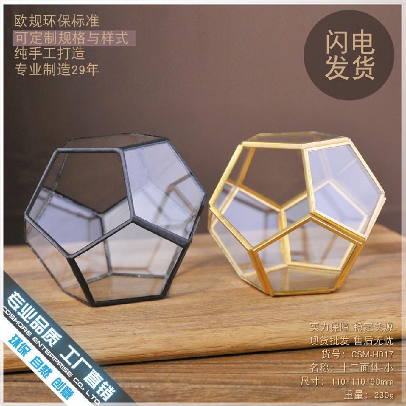 DG-257 Cảnh quan sinh thái nhỏ của hoa bền vững trong nhà thủy tinh cầu