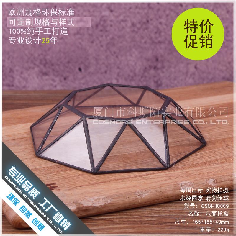 DG-230 Chậu hoa động vật nhiều thân, kính bát mặt, hoa thực vật bền đời, thảo mộc tím, cảnh quan nhỏ, thủy sinh trong chai