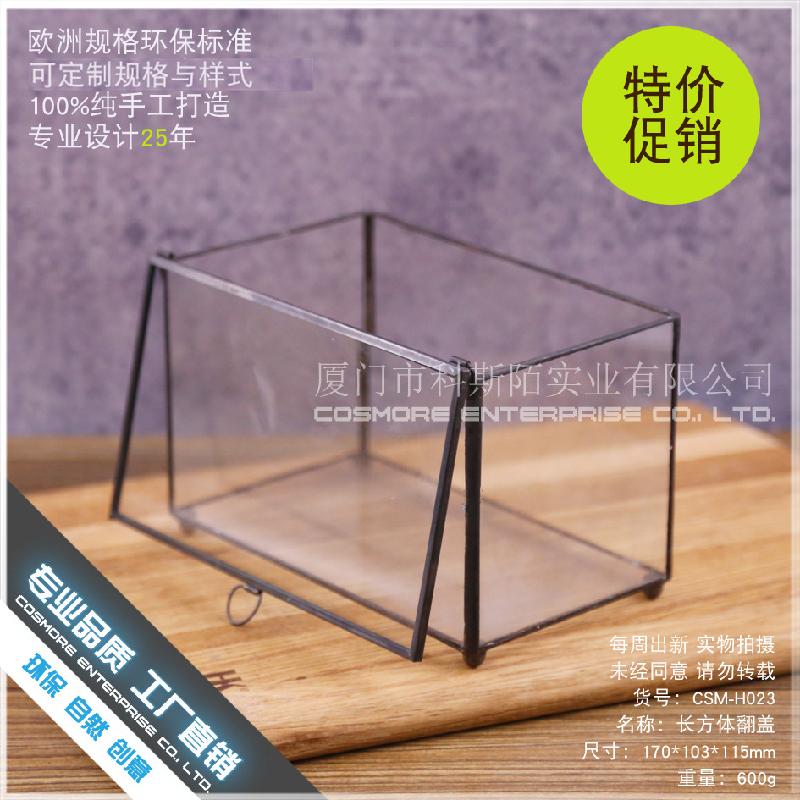 DG-15 Hộp sinh thái táo xiên, phòng kính không định hình, sáng tạo cảnh quan cây cỏ nhỏ