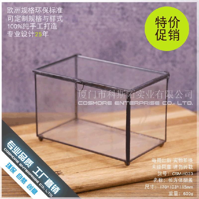 DG-15 Hộp sinh thái táo xiên, phòng kính không định hình, sáng tạo cảnh quan cây cỏ nhỏ