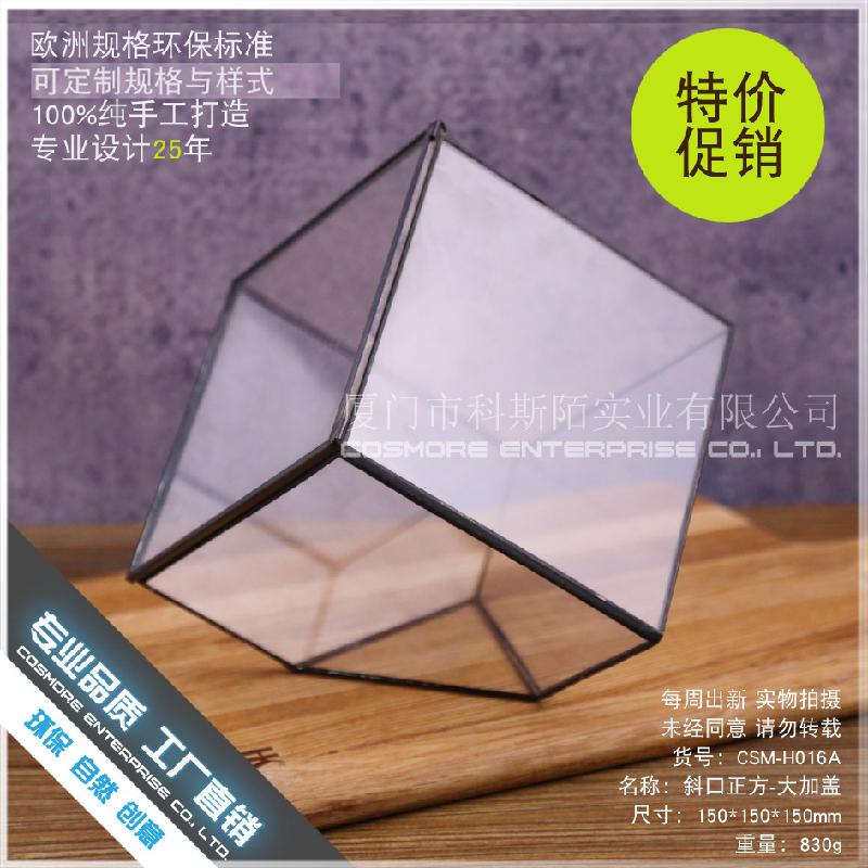 DG-64 Nhà kính thủy tinh lớn của nhà sản xuất, có thiết kế sáng tạo, hoa bền vững, thảo mộc, cảnh quan nhỏ và các chậu hoa đa thực vật