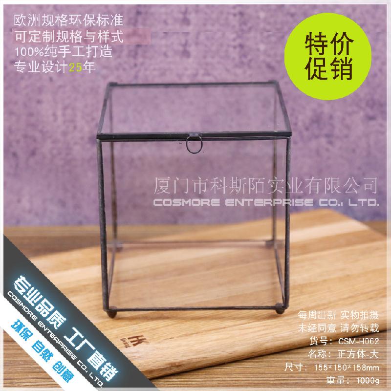 DG-12 Hộp quà thủy tinh với nhà hoa kính lớn và cây cỏ đông cứu