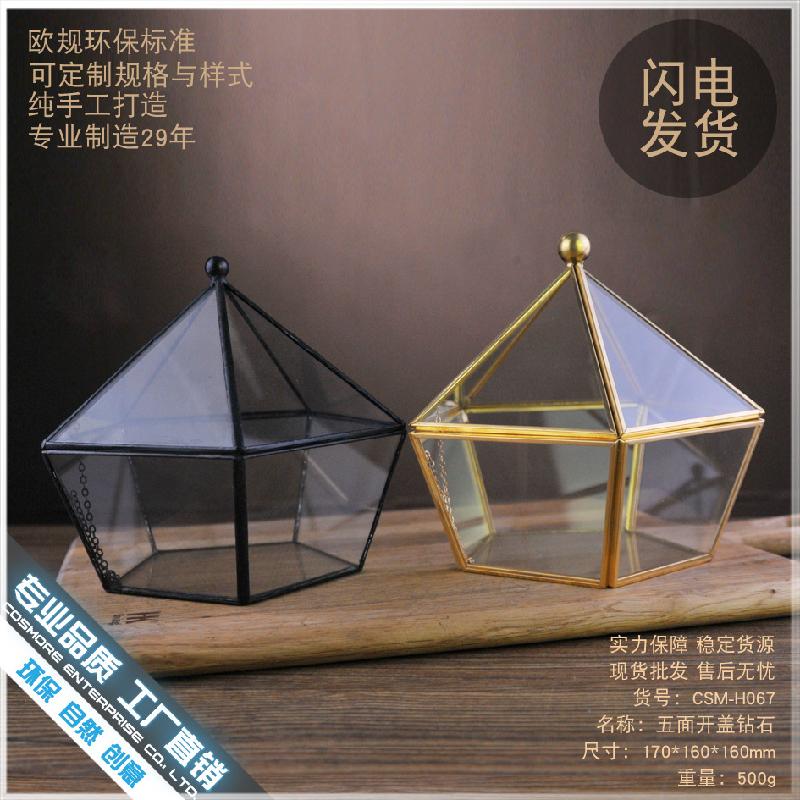 DG-41 Mặt nắp nổi bậc thứ năm, kim cương, cây thực vật đầy mồ hôi, cảnh quan nhỏ độc đáo, thủy tinh không định hình, hoa bền vĩnh cửu, hộp phòng thương mại