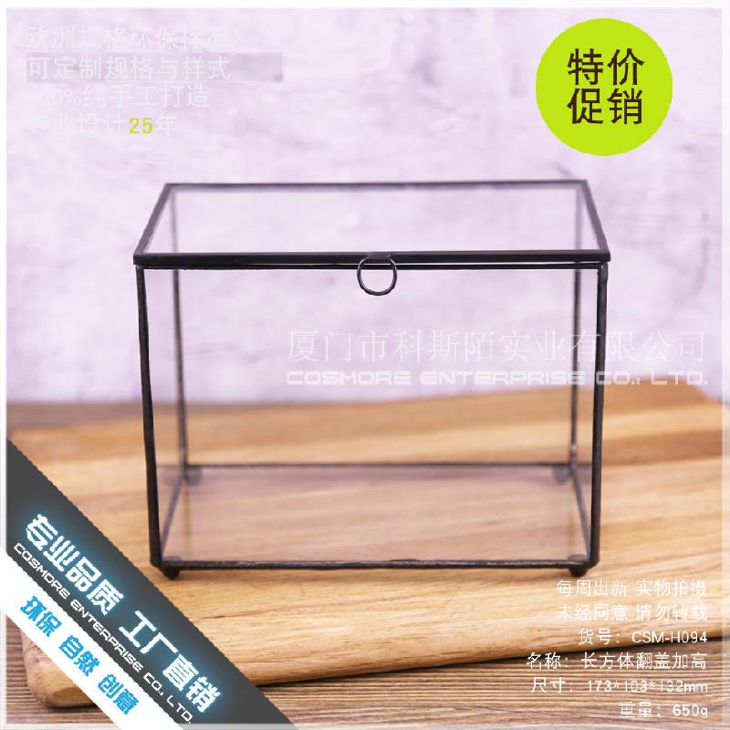 DG-52 Hộp kính hình hộp chữ nhật có kính cao với phong cảnh nhỏ của hoa bền vững và thảo mộc