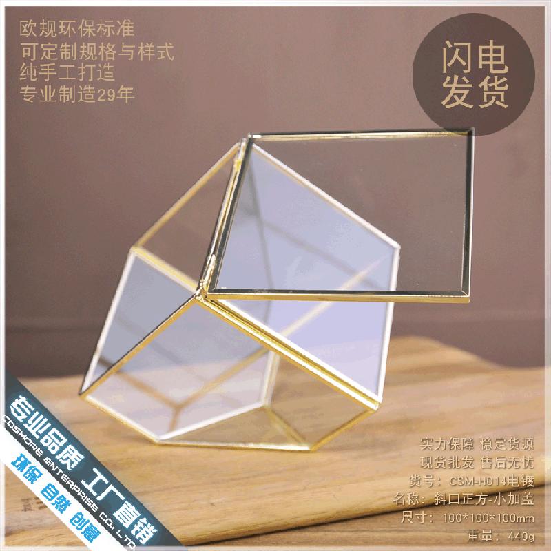 Chậu Đa Giác DG-210 Vỏ hộp quà cao cấp bằng kim loại được đổ bạc, có một cạnh dốc, chứa cây thực vật nhiều thịt, thảm mầm, cảnh quan nhỏ trong thể thức kính Hoa bền vĩnh cửu