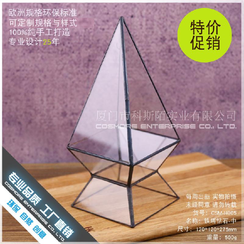 DG-232 Một không gian nhỏ độc đáo với cây thực vật tảo xanh