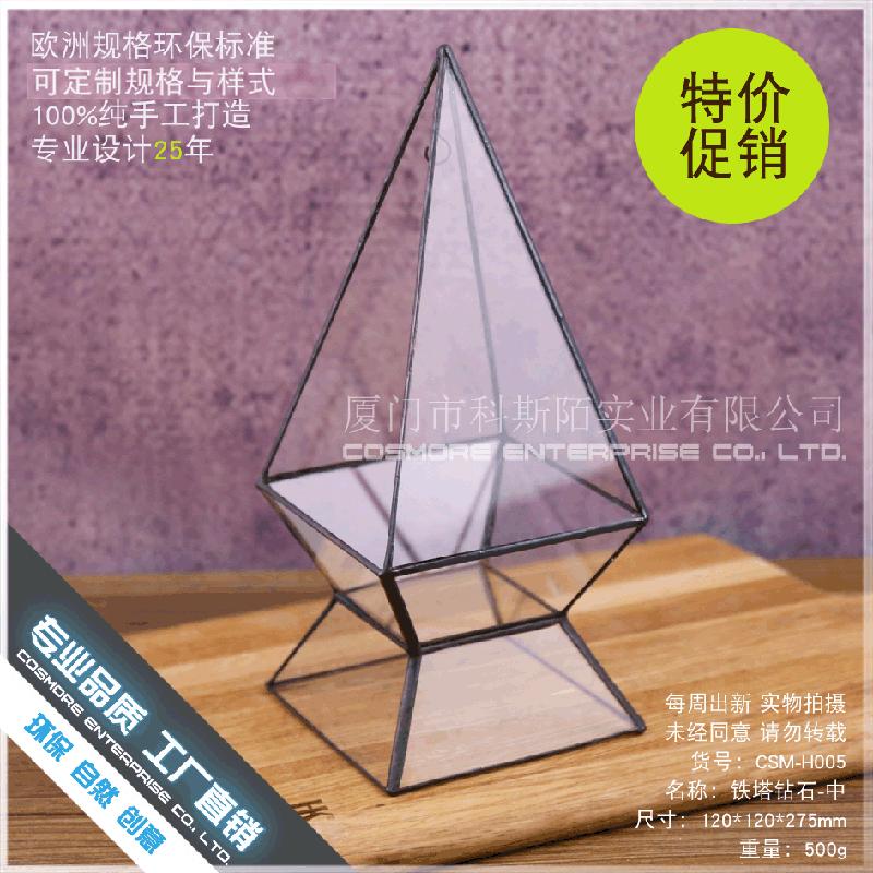 Chậu Đa Giác DG-232 Một không gian nhỏ độc đáo với cây thực vật tảo xanh