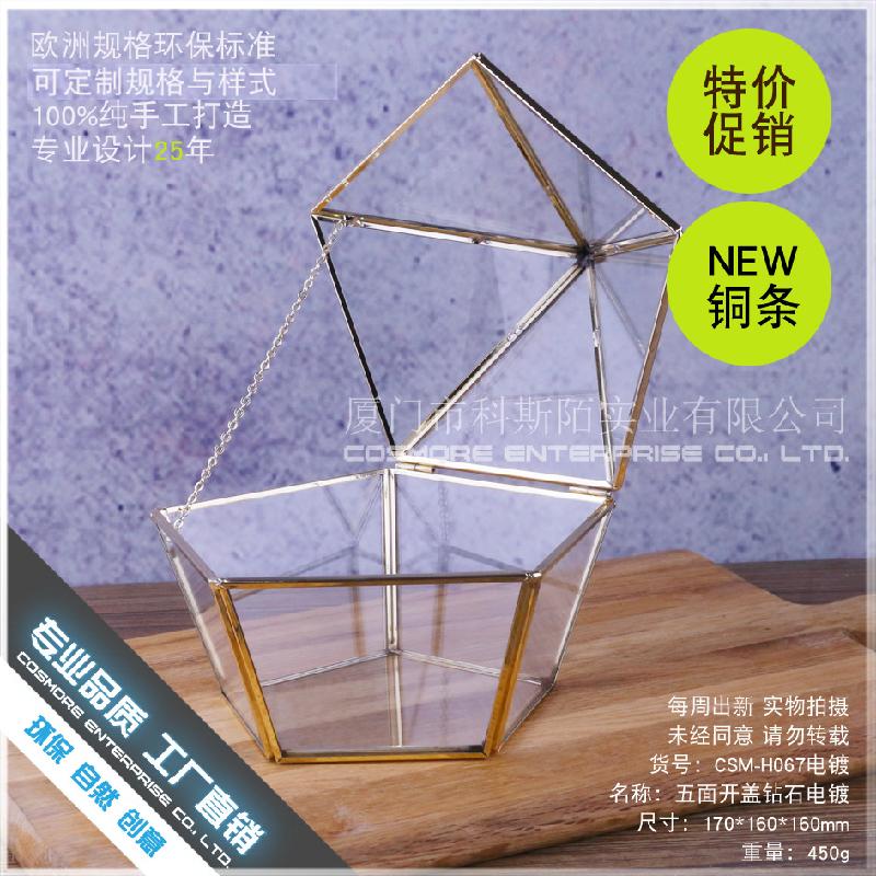 Chậu Đa Giác 永生花花盒首饰项链收纳盒防尘罩玻璃花房情人节礼物器皿五面开盖