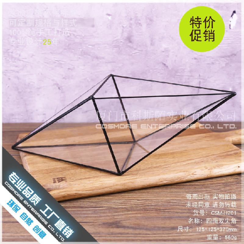 DG-183 Cảnh quan nhỏ với cây cỏ, của cỏ lá mọng xanh và thực vật nhỏ