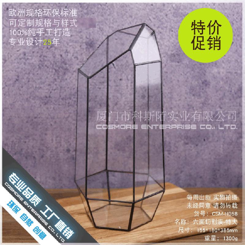 Chậu Đa Giác DG-258 Cắt lẻ 6 mặt, gọn gàng, cây thực vật tảo, thảo mộc, cảnh nhỏ độc đáo, kính không định hình, hoa nhỏ bền đời, hộp sỉ