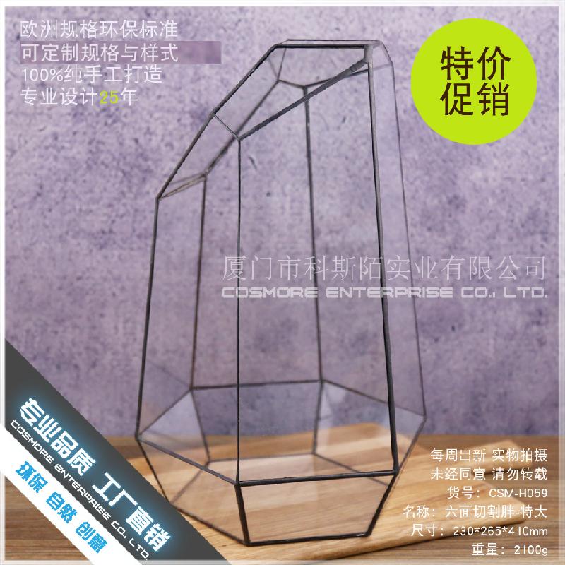 DG-43 Cắt bốn mặt to lớn, cây thực vật thịt nhiều, thảo mộc, cảnh quan nhỏ, kính vừa không đều, hoa bền vững nhỏ trong hộp