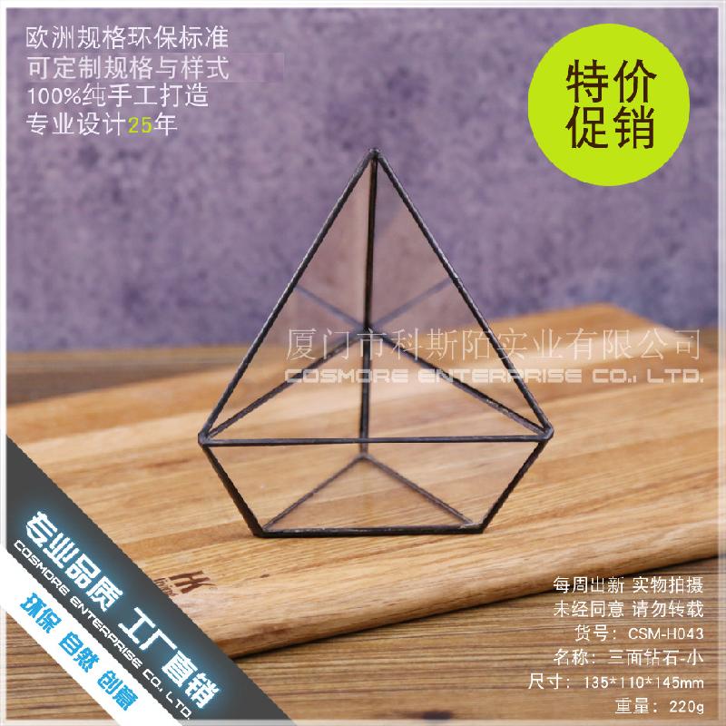 DG-243 Ba mặt đá kim cương - nhỏ Cây cảnh đa thực vật Tảo mầm cảnh quan nhỏ không đều lớn kính thời đời vỏ hoa nhỏ sỉ