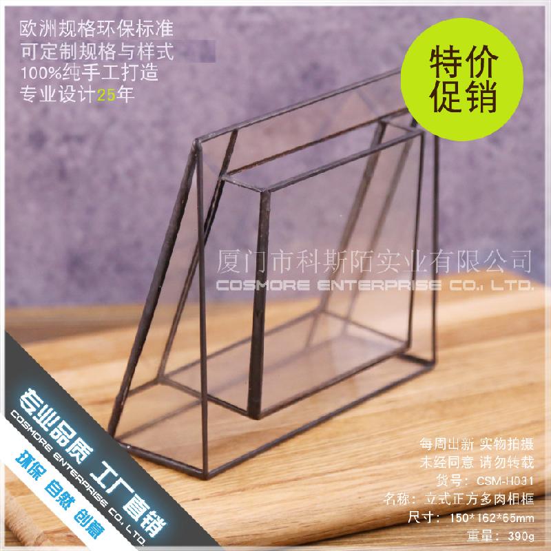 DG-42 Khung ảnh đa cây thực vật tảo, cảnh quan nhỏ bằng kính không đều, hoa bền vững trong hộp