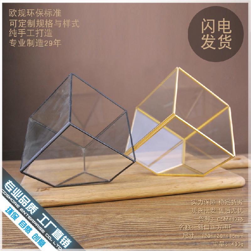 DG-92 Nhà hoa thủy tinh trong nhà máy, sáng tạo vĩnh cửu