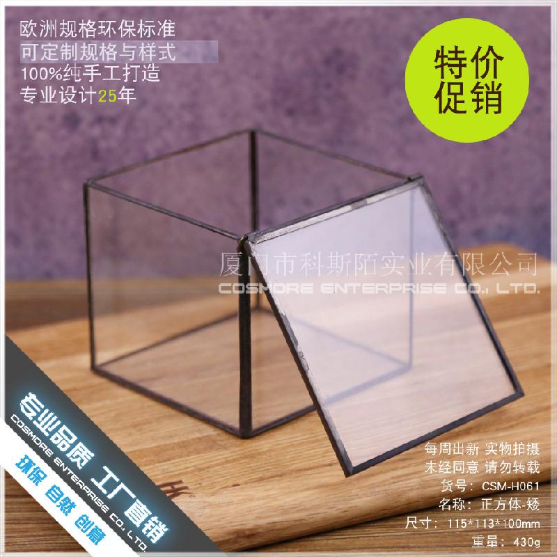 DG-21 Hộp nhỏ cảnh quan của thực vật mọc mịn