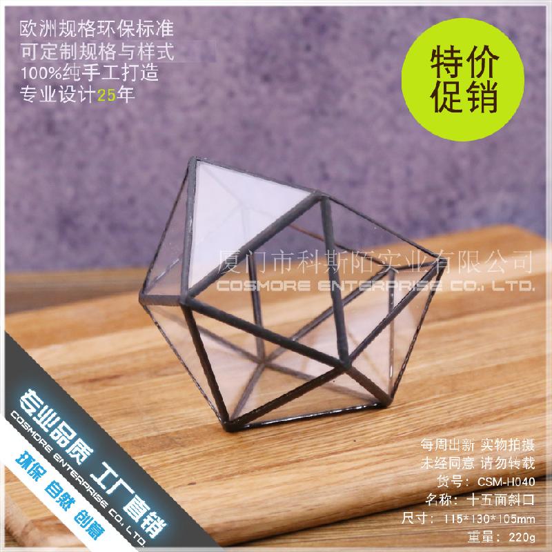 DG-85 Khảm đa góc, cây thực vật nhiều thịt, thảm mầm, cảnh vật nhỏ không đều, hộp hoa bền vĩnh cửu kính lớn