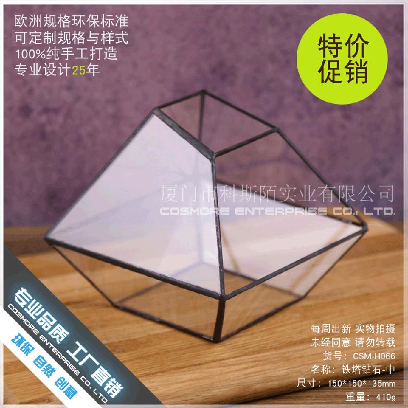 DG-62 Các bình hoa độc đáo, trong suốt, cây cỏ nhiều thịt, thiết kế nhỏ cảnh