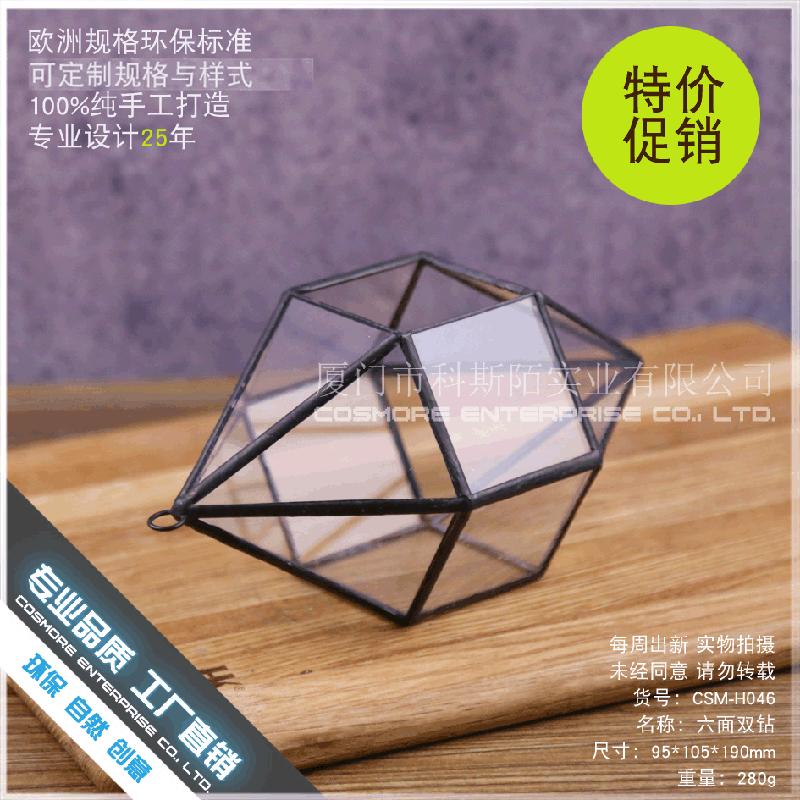 DG-240 Cặp đôi kim cương sáu mặt, cây thực vật nhiều thịt, cảnh quan nhỏ từ thảo mộc, không định hình, hộp hoa bền vững kính lớn