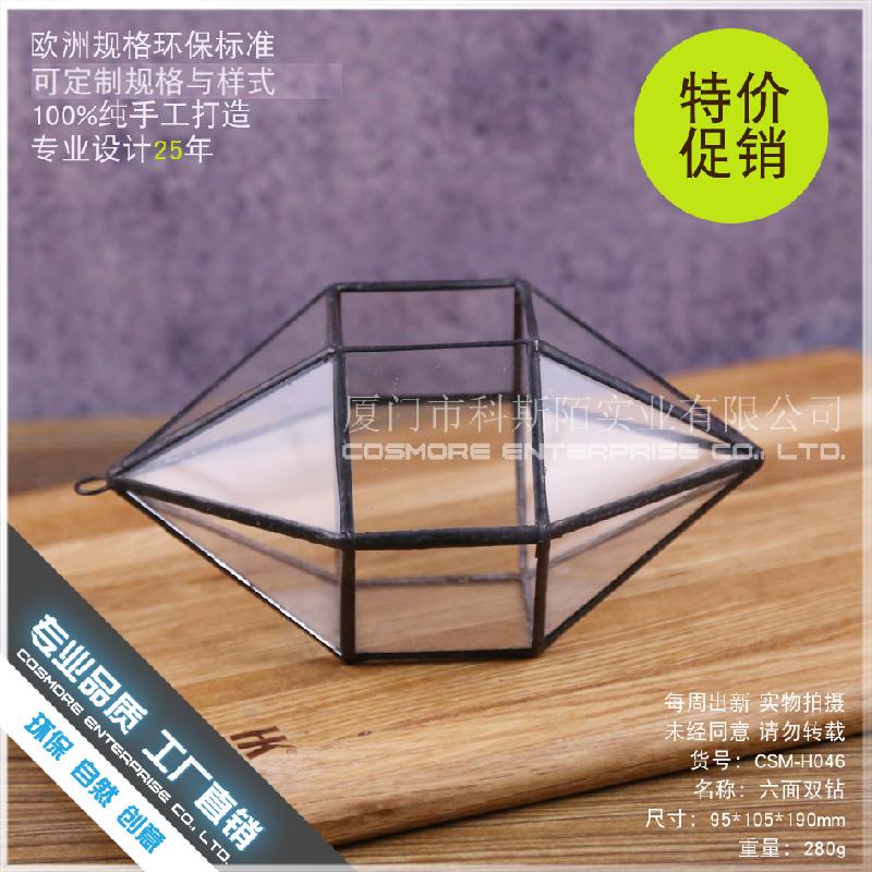 DG-240 Cặp đôi kim cương sáu mặt, cây thực vật nhiều thịt, cảnh quan nhỏ từ thảo mộc, không định hình, hộp hoa bền vững kính lớn