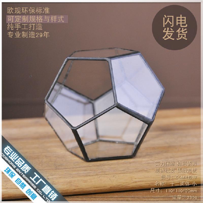 DG-257 Cảnh quan sinh thái nhỏ của hoa bền vững trong nhà thủy tinh cầu