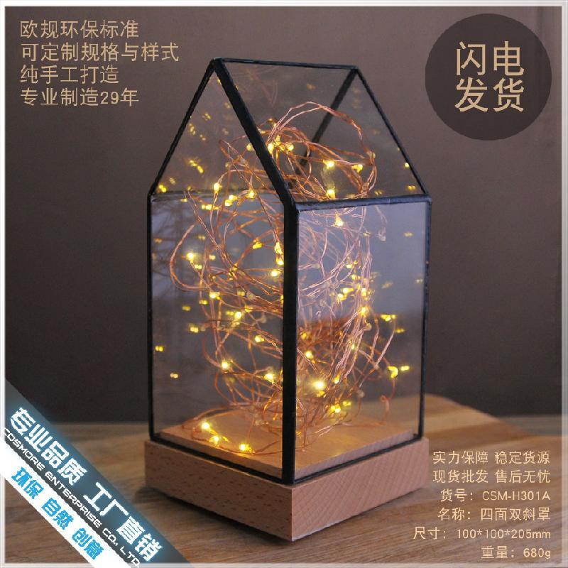 Chậu Đa Giác DG-26 Cờ bạc cây lửa, hoa bạc, gỗ thực, kính cửa đèn LED trang trí bàn đèn lãng mạn sáng tạo quà sinh nhật