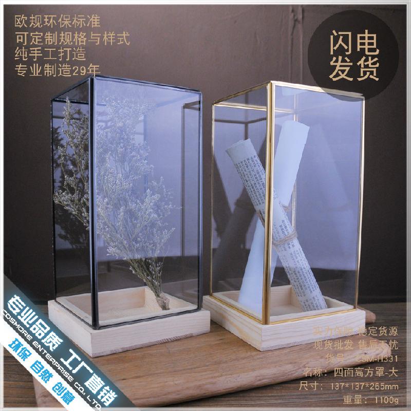 Chậu Đa Giác DG-51 Mẫu vật liệu kính đơn giản hợp phong thủy ở nhà, quán cafe, cửa hàng quần áo