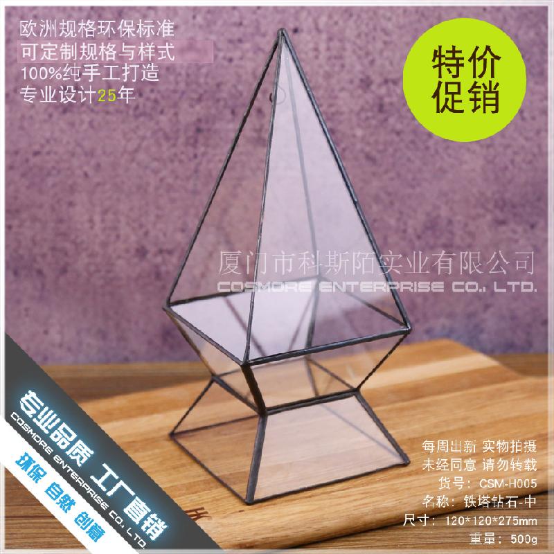 DG-232 Một không gian nhỏ độc đáo với cây thực vật tảo xanh