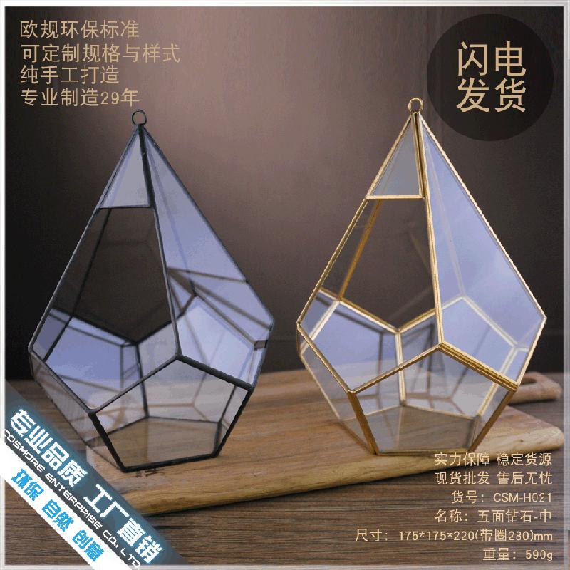 Chậu Đa Giác DG-255 Nội thất đá 5 mặt với cảnh quan mịn màng thực vật đông cơ, kính lớn không đều, hoa nhỏ bền vĩnh cửu, hộp nhà