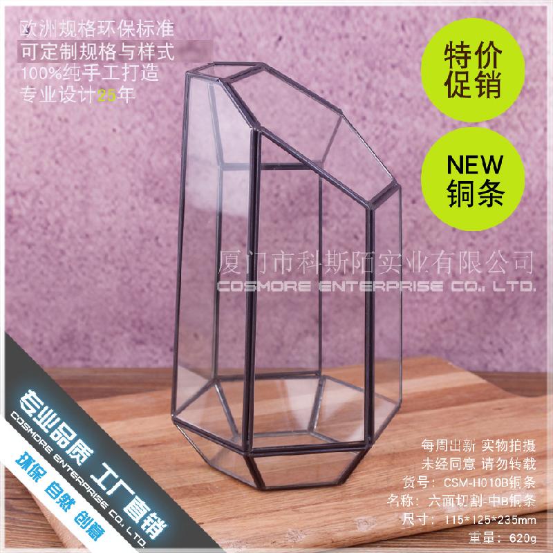 DG-224 Cắt bằng 6 mặt thanh đồng, phòng hoa kính B, hoa thịnh vượng, thảo mộc, cảnh quan nhỏ, trong suốt, sáng tạo, hộp cây đa thực vật bán sỉ