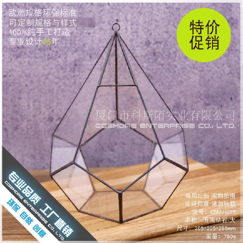 DG-256 Hộp hoa bền vĩnh cửu với đá 5 mặt, đa cỏ thịt, thảo mộc, cảnh quan nhỏ không định hình, kính lớn