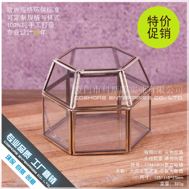 DG-227 Hộp trang sức điện phục hồi cổ điển, 6 mặt, hoa bền vĩnh cửu, thảm mầm, cảnh quan nhỏ, trong suốt, các bình hoa đa thực vật