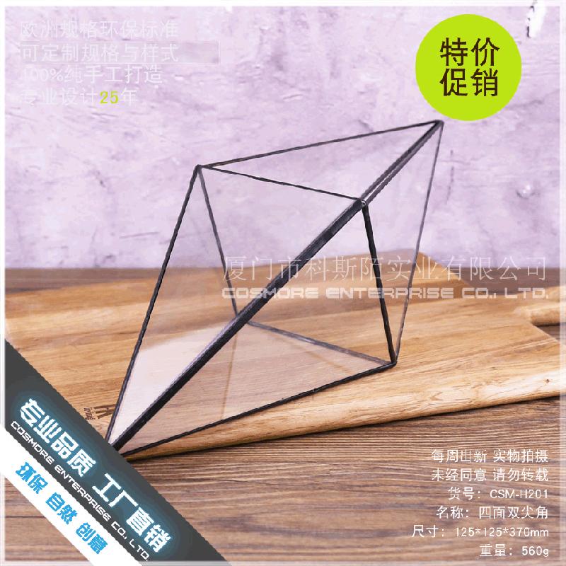 DG-183 Cảnh quan nhỏ với cây cỏ, của cỏ lá mọng xanh và thực vật nhỏ