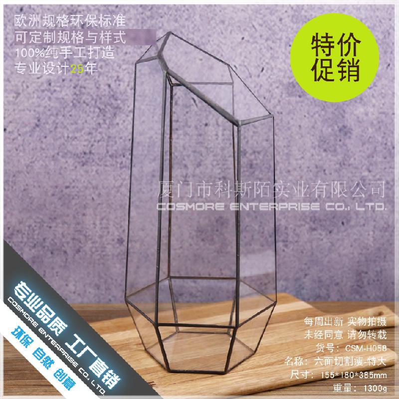 DG-258 Cắt lẻ 6 mặt, gọn gàng, cây thực vật tảo, thảo mộc, cảnh nhỏ độc đáo, kính không định hình, hoa nhỏ bền đời, hộp sỉ