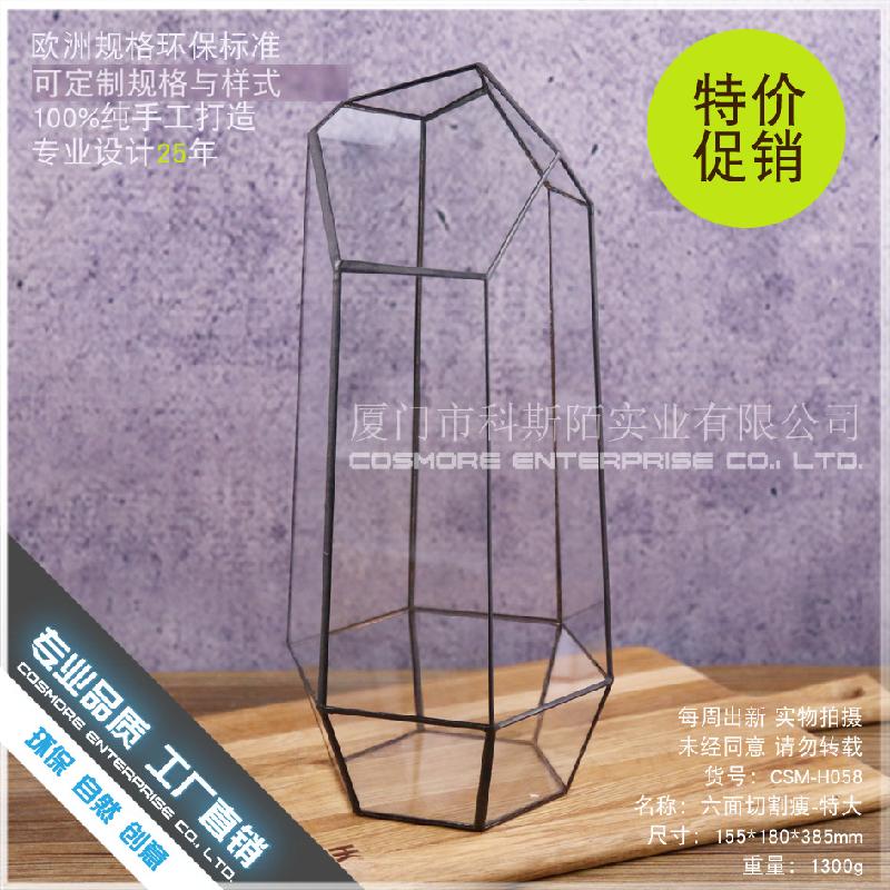 DG-258 Cắt lẻ 6 mặt, gọn gàng, cây thực vật tảo, thảo mộc, cảnh nhỏ độc đáo, kính không định hình, hoa nhỏ bền đời, hộp sỉ