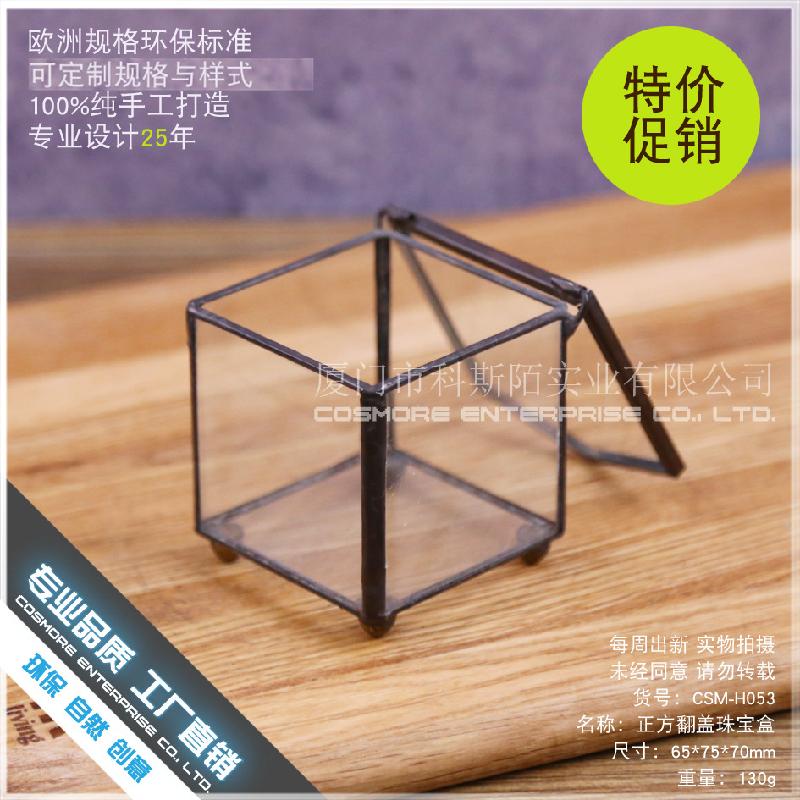 DG-237 Hộp trang sức nằm ngược cấu trúc, cây thực vật mộc mạc, cảnh quan nhỏ độc đáo, kính lớn bất quy tắc