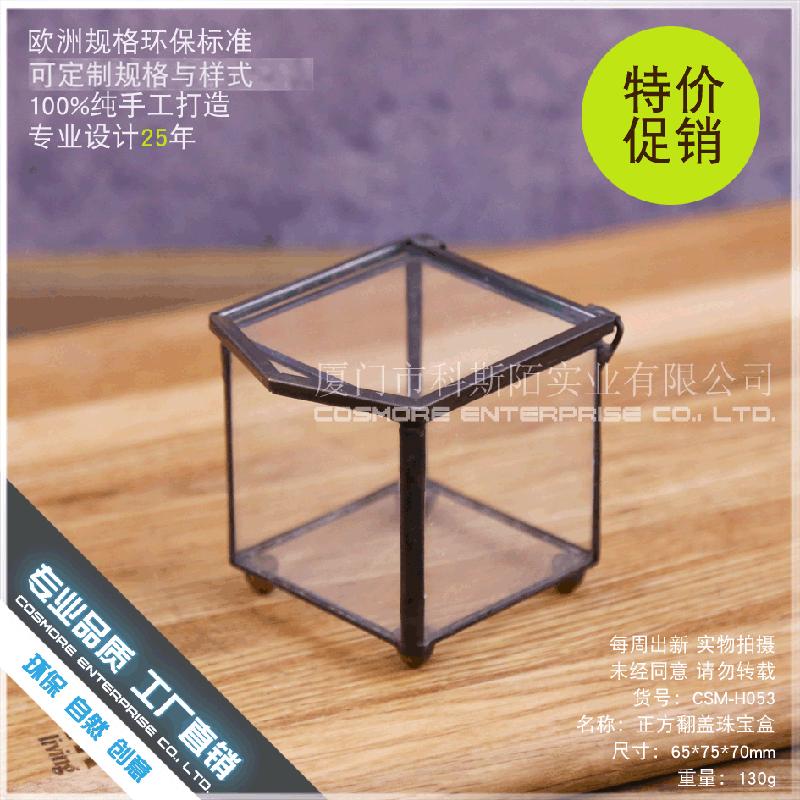 DG-237 Hộp trang sức nằm ngược cấu trúc, cây thực vật mộc mạc, cảnh quan nhỏ độc đáo, kính lớn bất quy tắc