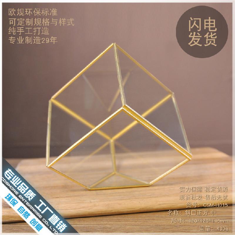 DG-92 Nhà hoa thủy tinh trong nhà máy, sáng tạo vĩnh cửu