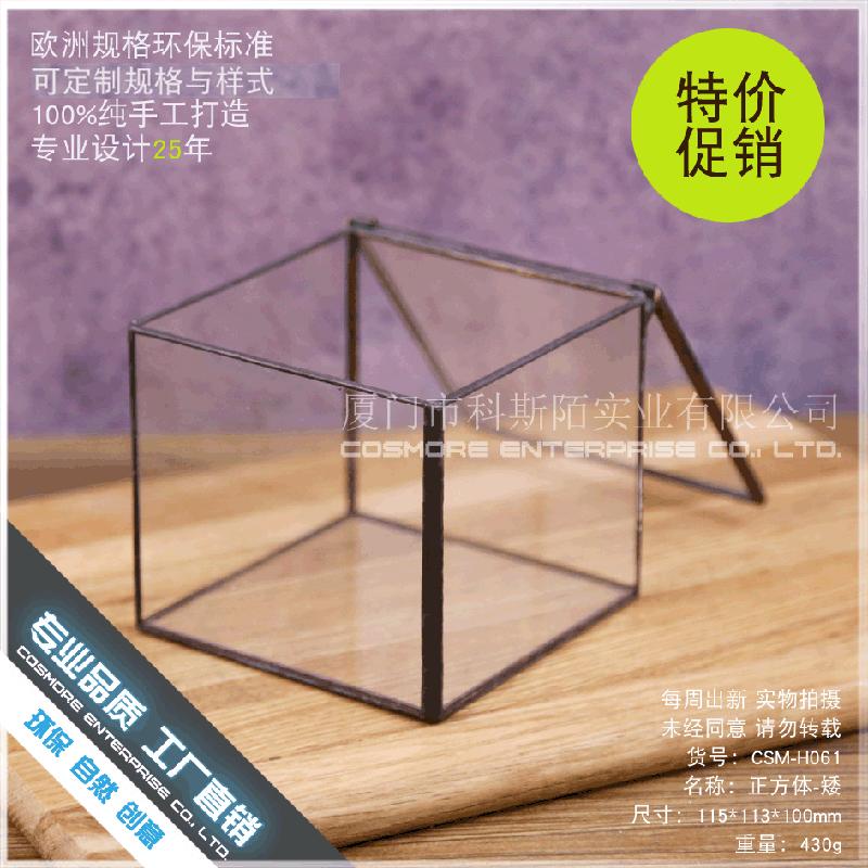 DG-21 Hộp nhỏ cảnh quan của thực vật mọc mịn