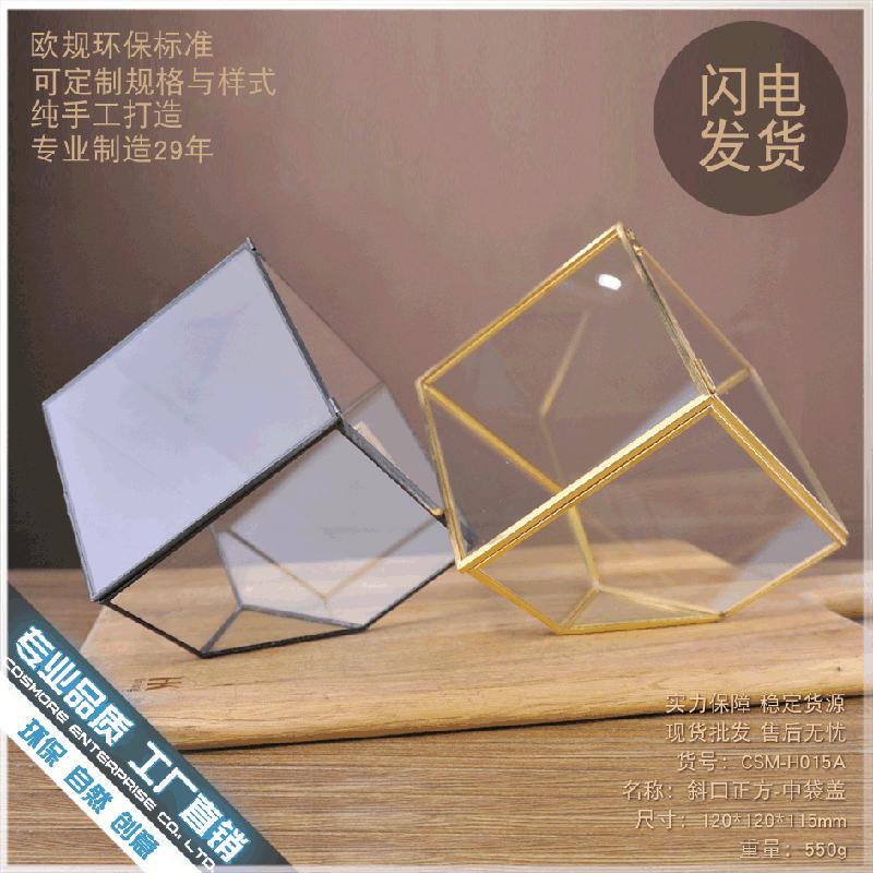 DG-53 Hộp kính thủy tinh có nắp với cây thực vật mọc mịn, thảo mộc vật phẩm nhỏ, hoa bền vững nhỏ