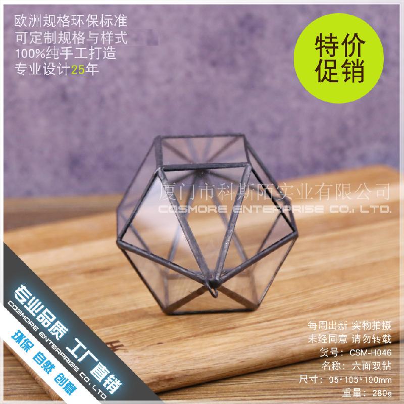 DG-240 Cặp đôi kim cương sáu mặt, cây thực vật nhiều thịt, cảnh quan nhỏ từ thảo mộc, không định hình, hộp hoa bền vững kính lớn