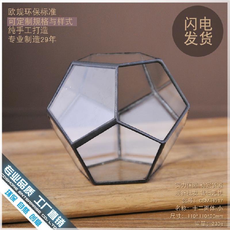 DG-257 Cảnh quan sinh thái nhỏ của hoa bền vững trong nhà thủy tinh cầu