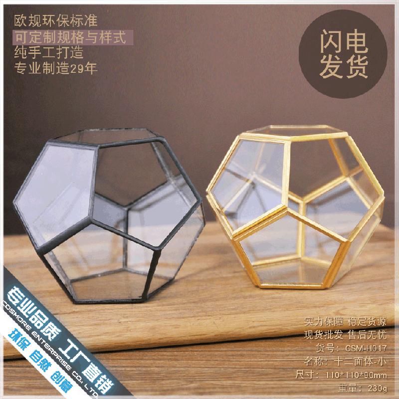 Chậu Đa Giác DG-257 Cảnh quan sinh thái nhỏ của hoa bền vững trong nhà thủy tinh cầu