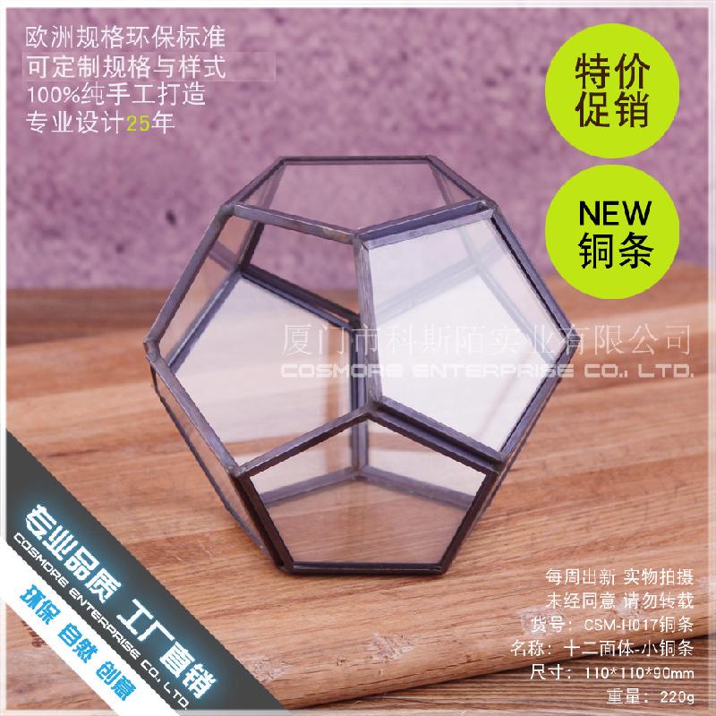 DG-257 Cảnh quan sinh thái nhỏ của hoa bền vững trong nhà thủy tinh cầu