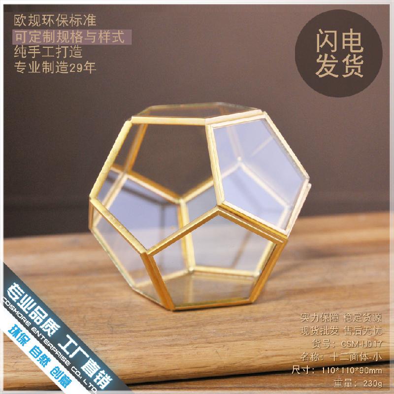 DG-257 Cảnh quan sinh thái nhỏ của hoa bền vững trong nhà thủy tinh cầu